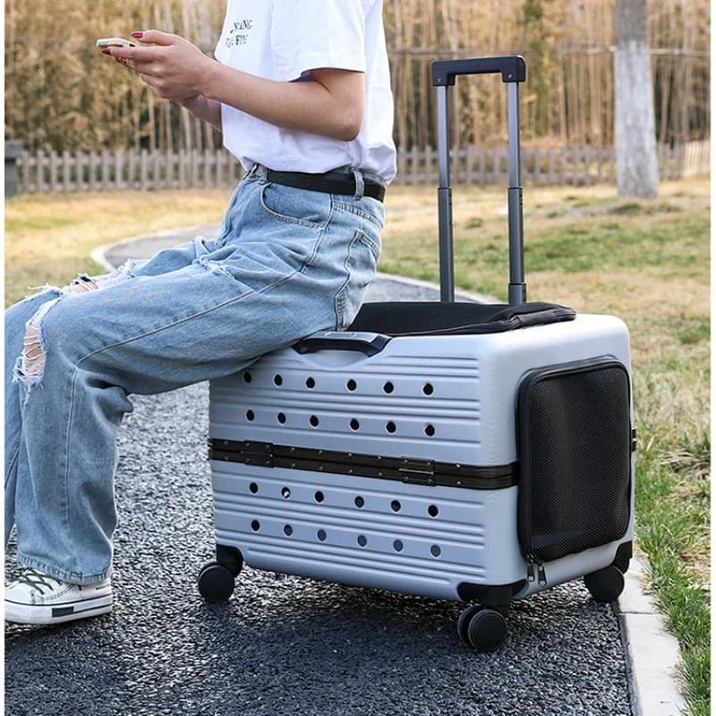 Trolley per animali domestici da viaggio, borsa da trasporto, trasportini e passeggini, espandi per la passeggiata, accessori per gatti, zaino per animali domestici, Prod da viaggio