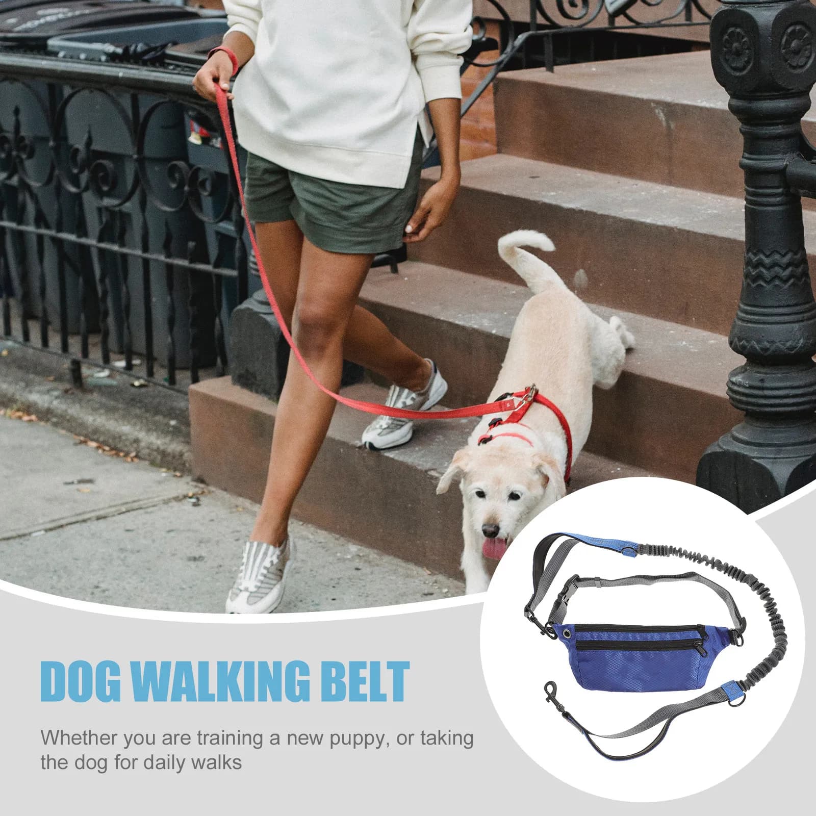1Set Pet Traction Rope Waist Bag Dog Leash Adjustable Hands Free Dog Running Leash for Walking Training Outdoor Use