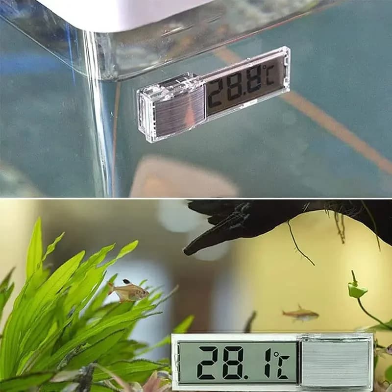 Termometro per acquario Display digitale LCD Misurazione della temperatura del acquario Termometro per acquario con batteria