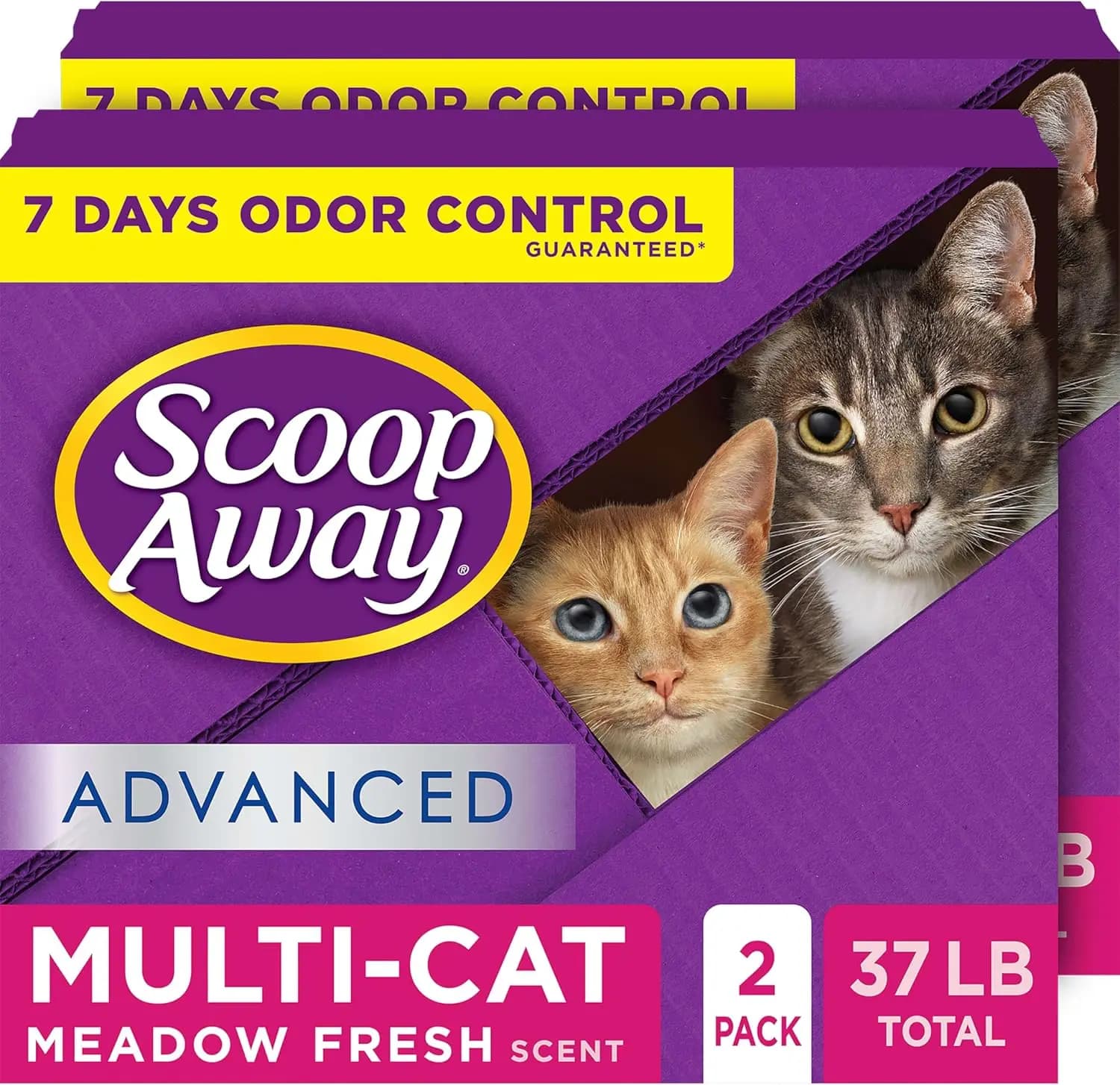 Lettiera Agglomerante Avanzata per Gatti Multipli, Profumo Fresco di Prato, Confezione da 2, 8,3 kg