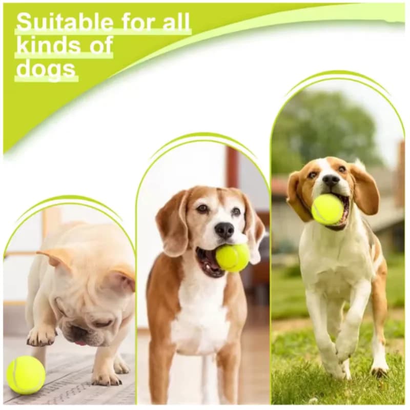Set di mini palline da tennis, giocattoli interattivi per cani di piccola taglia, per addestramento e allenamento, compatibili con lanciapalle per cani.