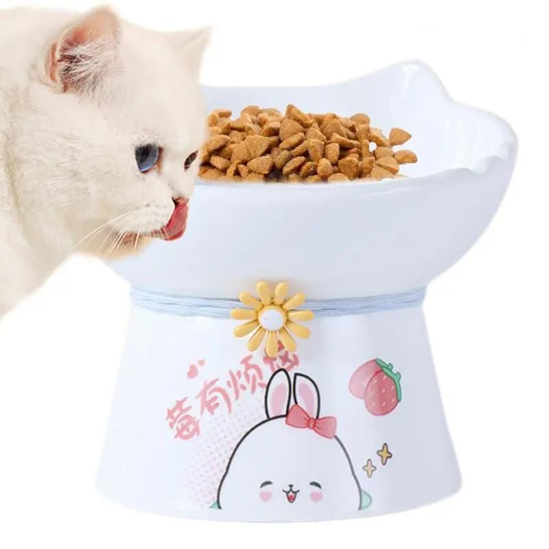 Ciotole per gatti rialzate Ciotola per cibo rialzata per gatti in ceramica Ciotole per alimentazione per gatti inclinate Anti vomito Piatto per cibo per gatti Baffo Alimentatore per animali domestici adatto
