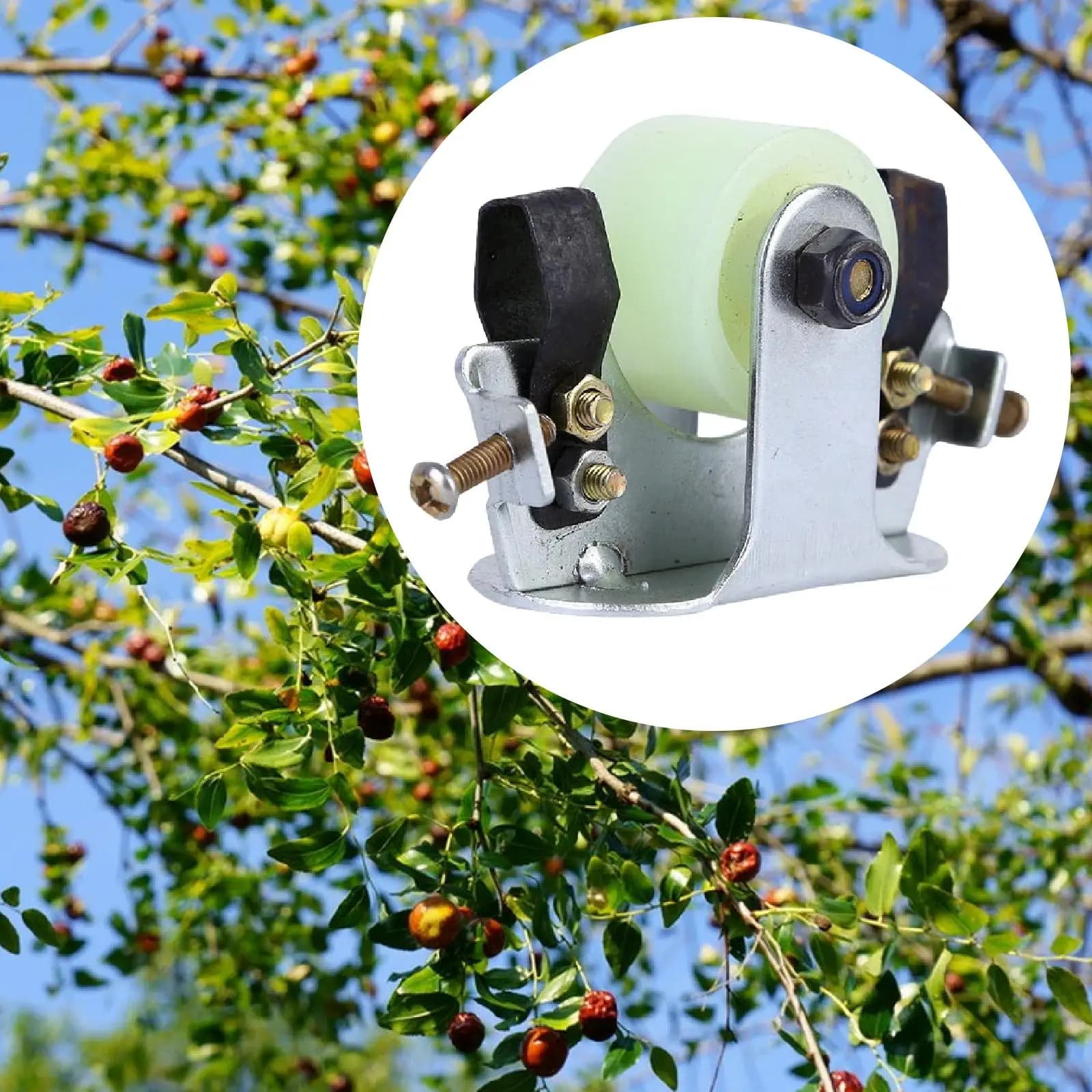 Attrezzo Professionale Sicuro per la Rimozione di Corteccia, in Acciaio e Nylon Durevole, per Forbici da Potatura per Frutteti e Scortecciatrice per Alberi