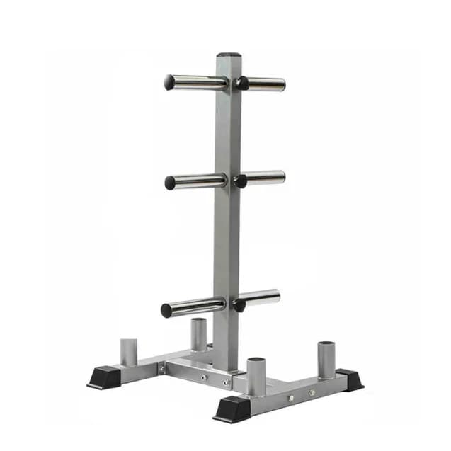 Personalized Bearing for Gym Equipment, Support for Discs and Libraries, Organizer to Piantana