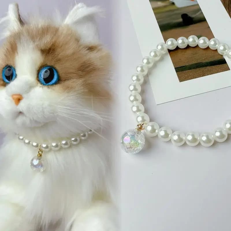 Simpatico animale domestico gatto cane collana di perle collare di gioielli accessorio per decorazioni fotografiche di alto valore nuovo caldo