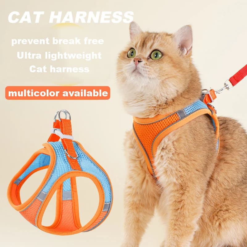 Pettorina per cani e gatti con guinzaglio in piombo set cucciolo di gattino imbracatura gilet imbracature riflettenti traspiranti in rete per cani gatti accessori