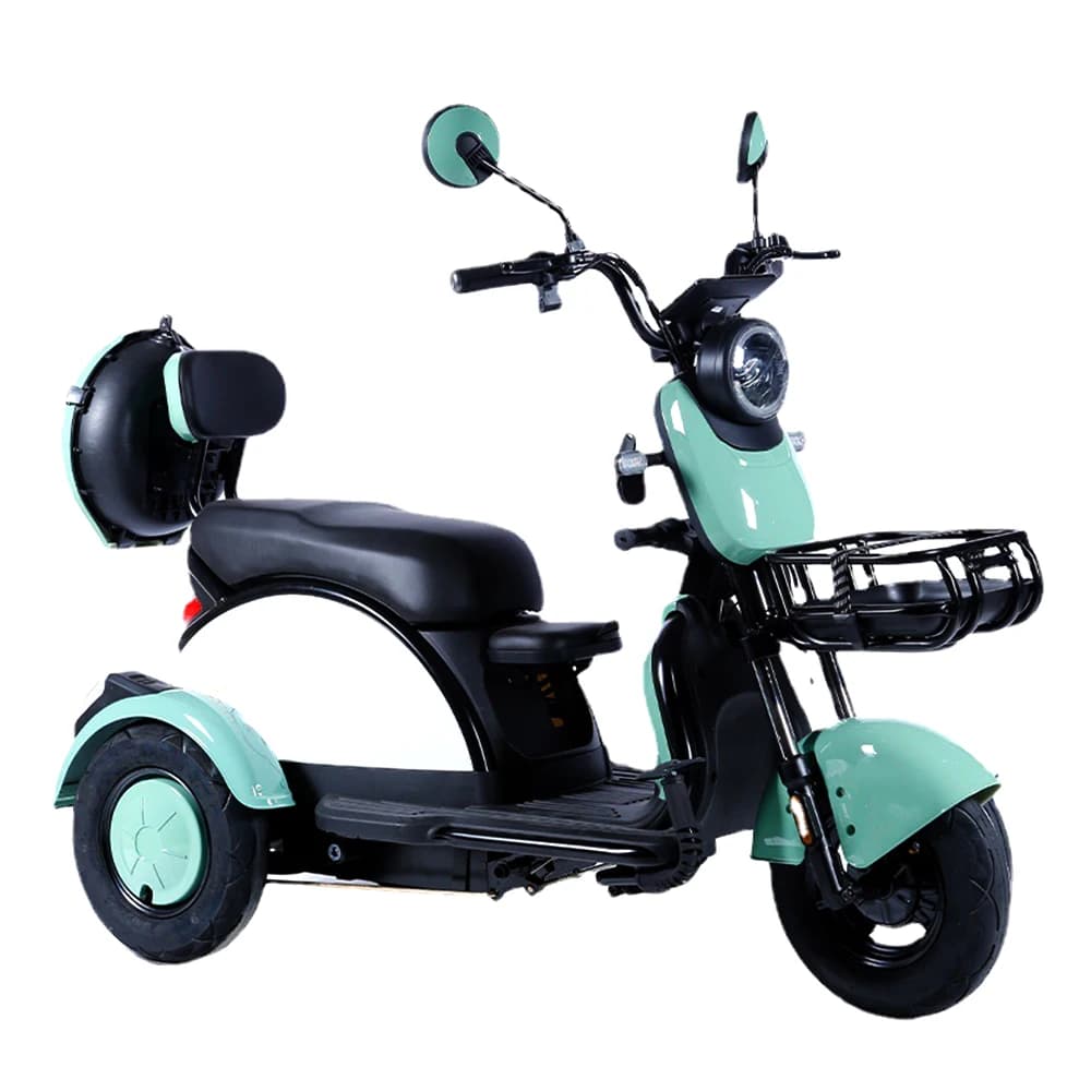 Triciclo Elettrico di Tendenza, Design Accattivante, Bici Elettrica a 3 Ruote, 12 Pollici, 48V 600W, Display LED