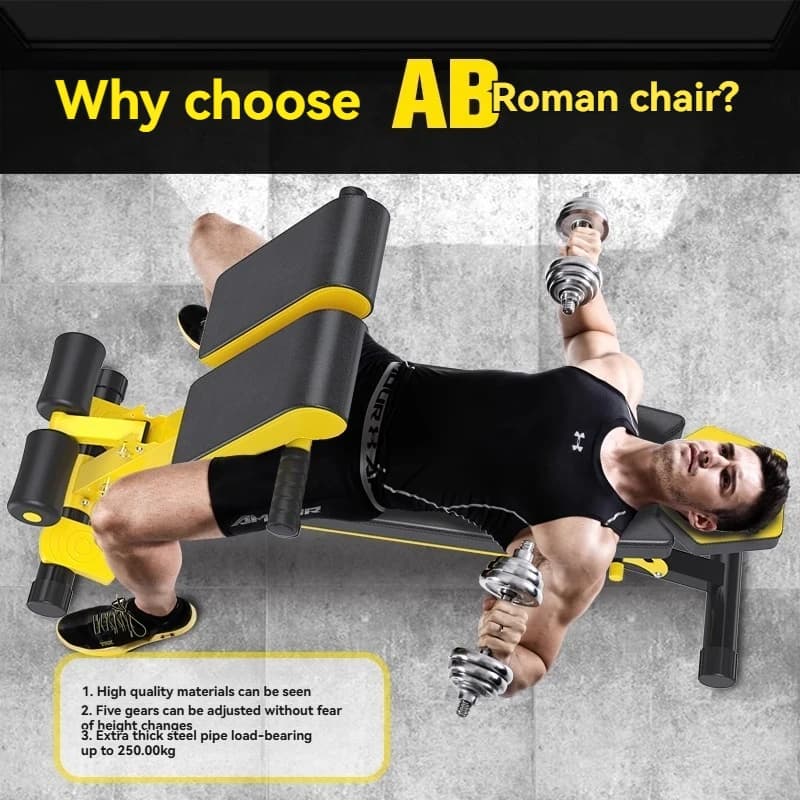 Panche per esercizi, sedie romane, panche per iperessione, attrezzature per il fitness domestico, panche commerciali con manubri