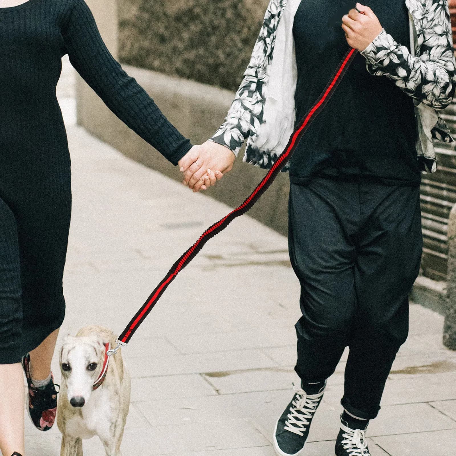 Guinzaglio Elastico per Addestramento Cani con Impugnatura Morbida Imbottita, Design Riflettente di Sicurezza, Lungo Elastico Estensibile per Uso Quotidiano, Escursionismo, Corsa