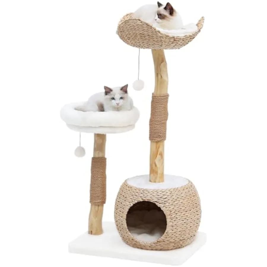 Albero per Gatti da Interno Moderno in Vero Legno con Tiragraffi, Piattaforme Salto e Pallina Giocattolo Sospesa per Gatti Multipli