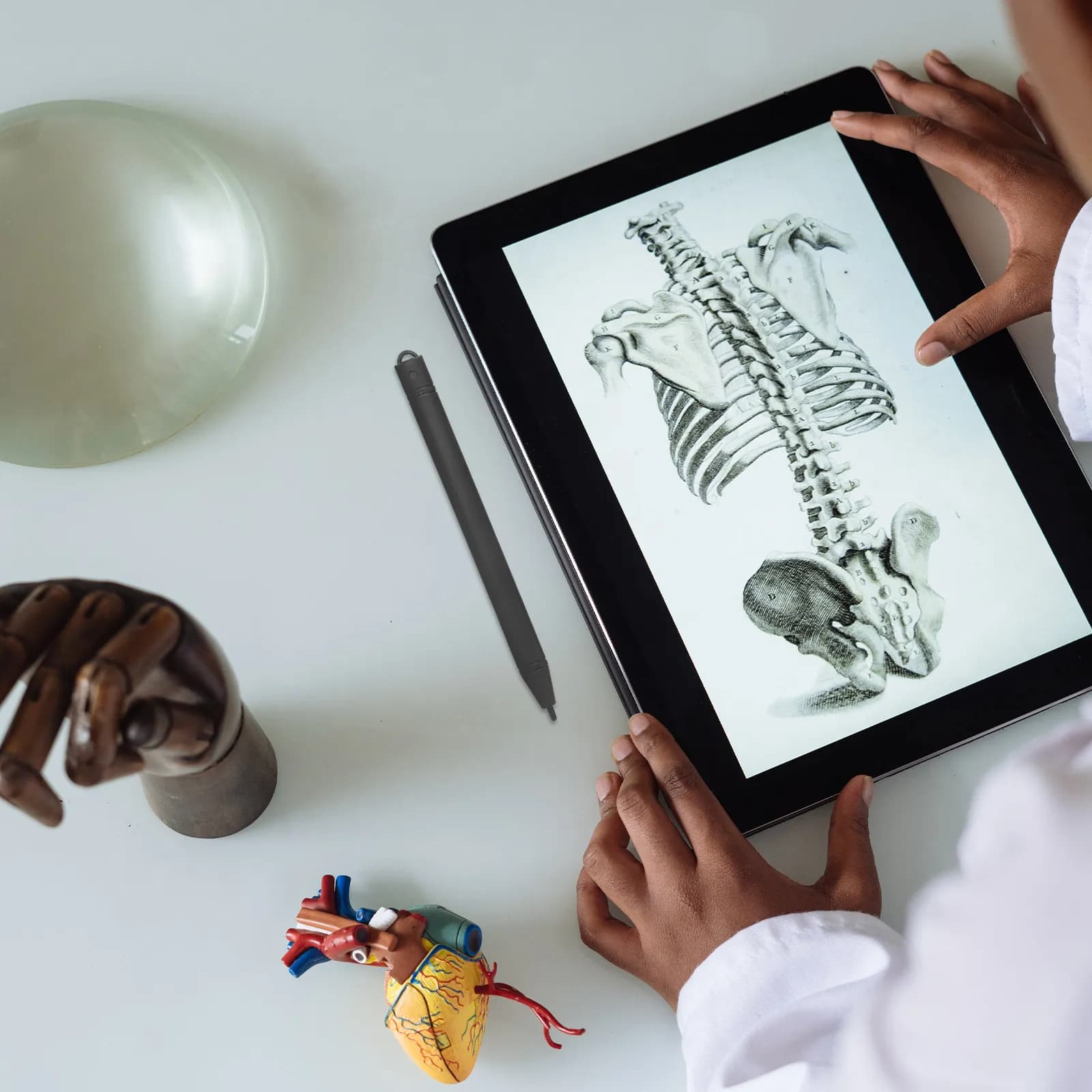6 penne per tavoletta LCD con impugnatura liscia, penne per disegno, penne per pittura, per lo sviluppo della cognizione dei colori, strumento per il disegno