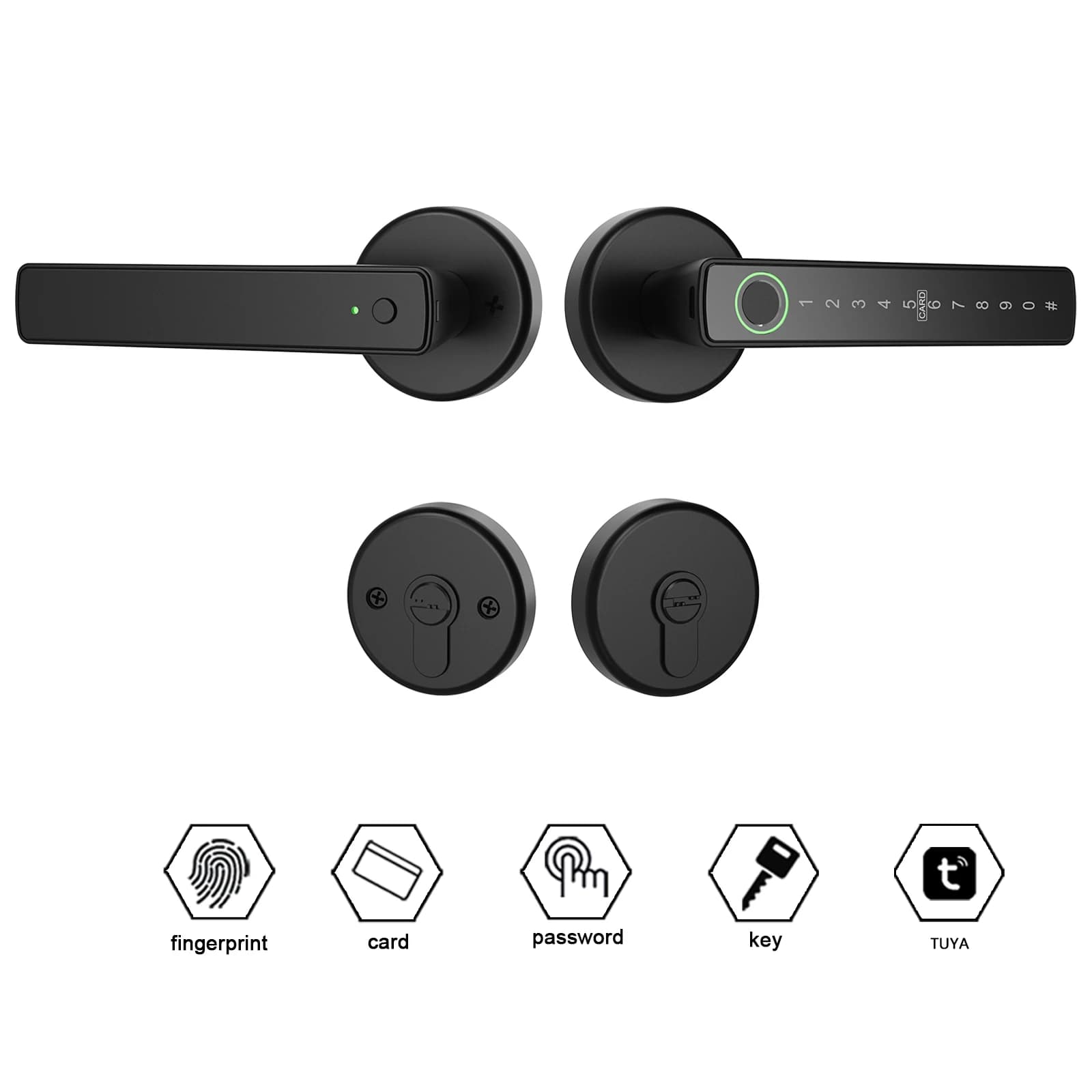 WINFREE Smart Lock Impronta digitale Keyless Entry Tuya Bluetooth Controllo vocale Alexa Google Assistant Home Office Appartamento Serratura per porta