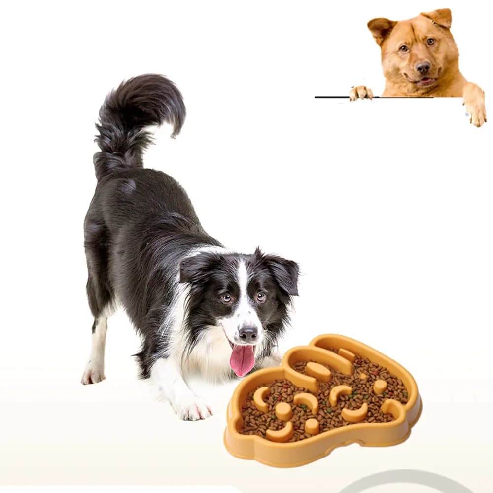 Ciotola Antiscivolo per Cani, per Alimentazione Lenta, Anti-soffocamento, Ispessita, Disponibile in Vari Colori e Forme