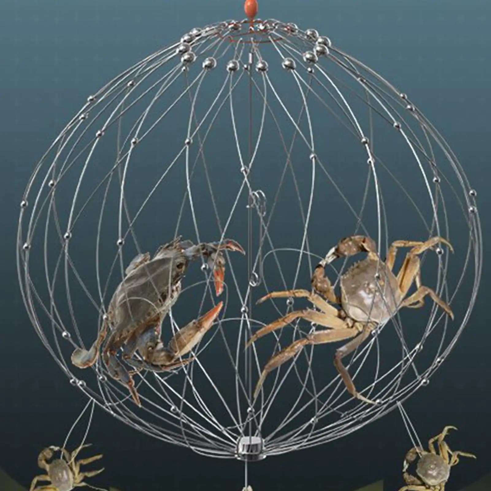 Diametro 52/62/72 centimetri Rete da pesca Gabbia Chiusura aperta automatica Filo Pesce Granchio Trappola Rete Filo di acciaio per accessori per la pesca in acqua salata