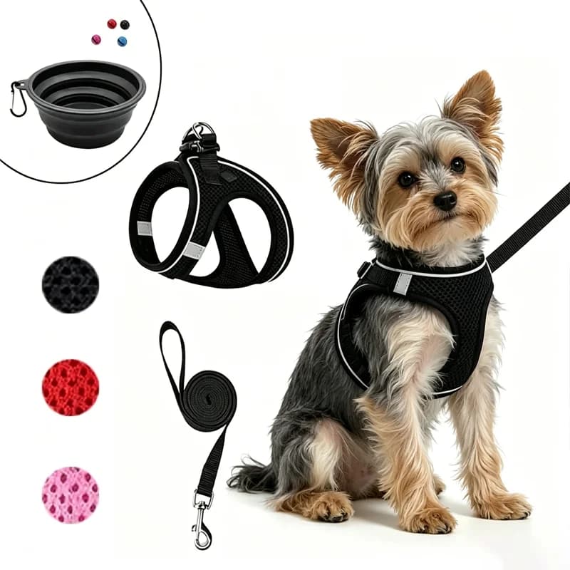 Breathable Mesh Pet Harness Leash Kit with Bell & Foldable Bowl Adjustable Reflective Vest for Small Dogs Cats Outdoor Daily Use