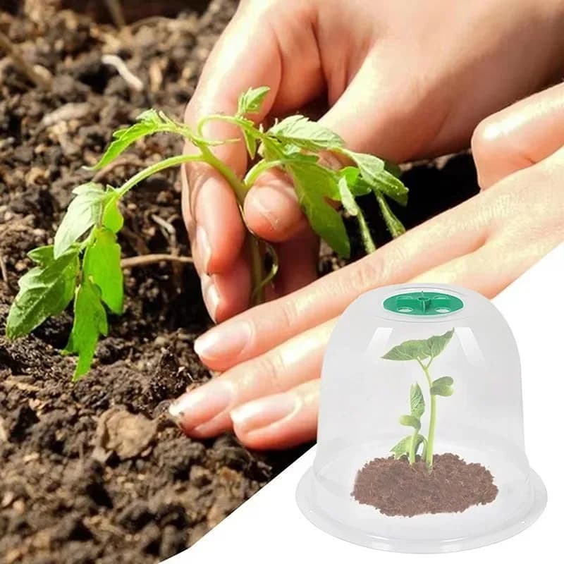 Copertura per vivaio da 3/4/6 pezzi, a forma di campana, per semi e piante, protezione per serre e orti, copertura in plastica per giardinaggio e orticoltura