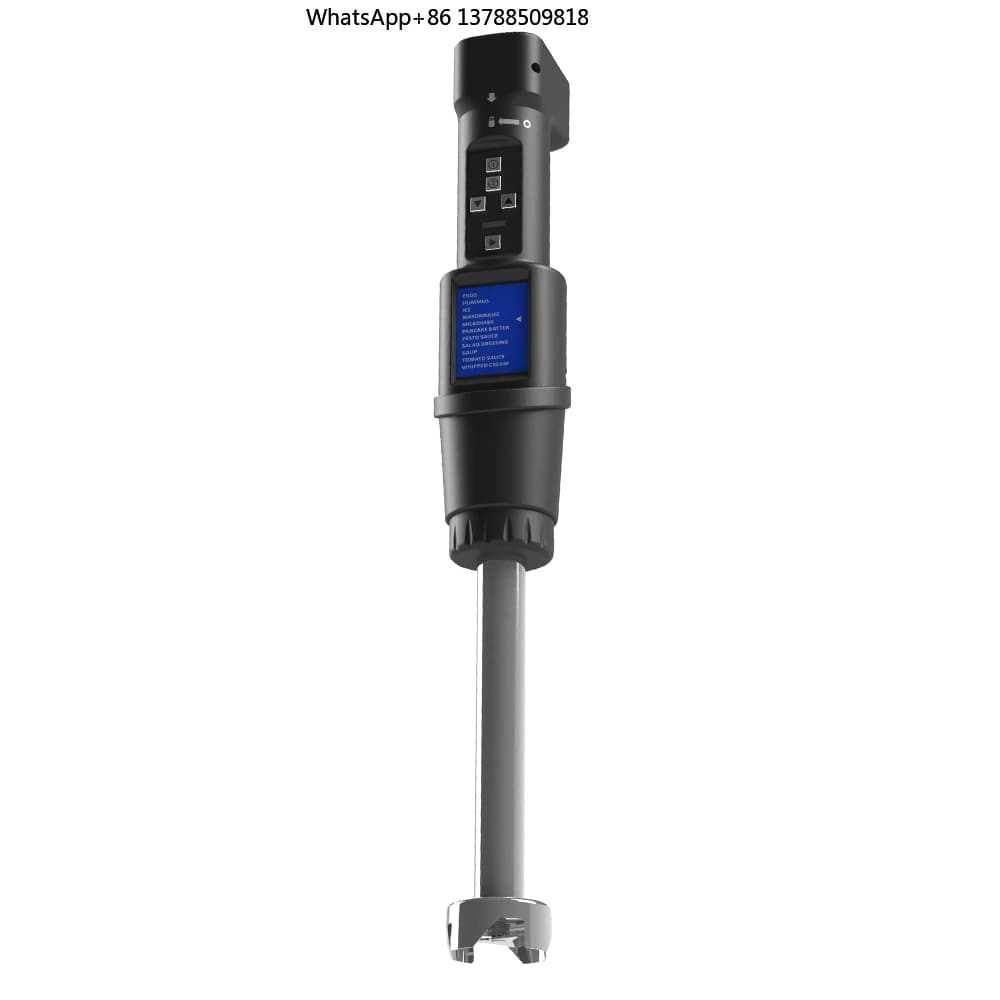 Frullatore a Immersione XEOLEO Professionale a Batteria, Mixer Portatile per Uso Commerciale e Domestico