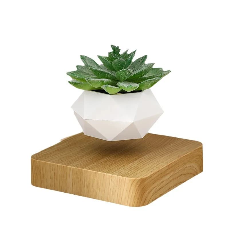 Amazon Maglev Pianta in vaso Bonsai creativo Vaso da fiori fai da te Aria sospesa Pianta in vaso Fonte di commercio estero Ornamento all'ingrosso