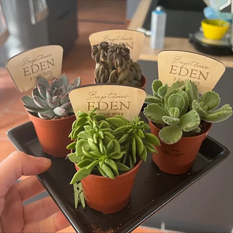 Etichette per piante per negozio di fiori insegne personalizzate per vivaio etichette per piante con logo personalizzato etichette per pali pennarelli per semi in vaso naturale