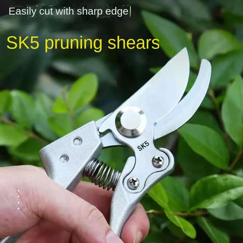 Professional gardening pruning shears | Fruit tree pot for heavy loads in cold-rolled SK5 imported | Finishing tool for outdoors