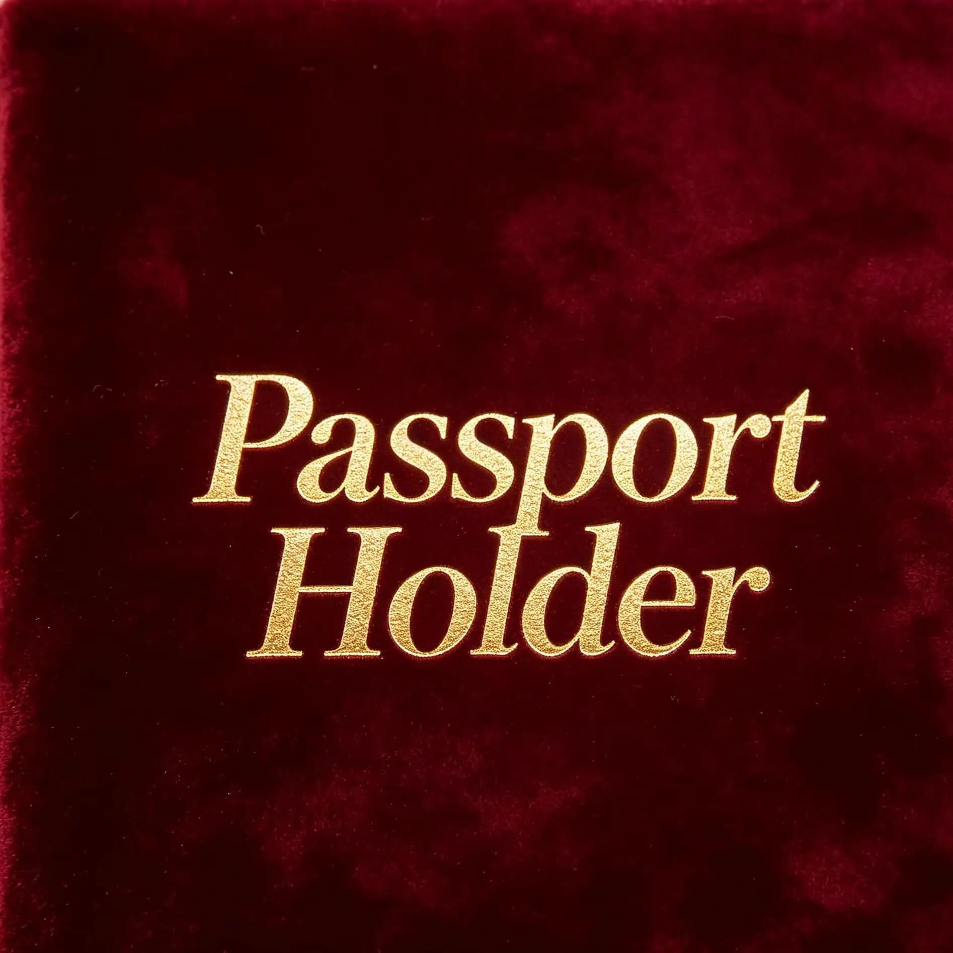 PU Leather Passport Holder With Butterfly Pattern, Business Travel Passport Cover Document Wallet