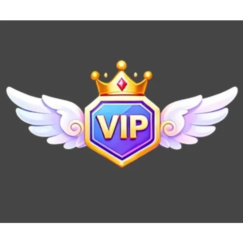 Sono aggiunti accessori supplementari per il trasporto VIP