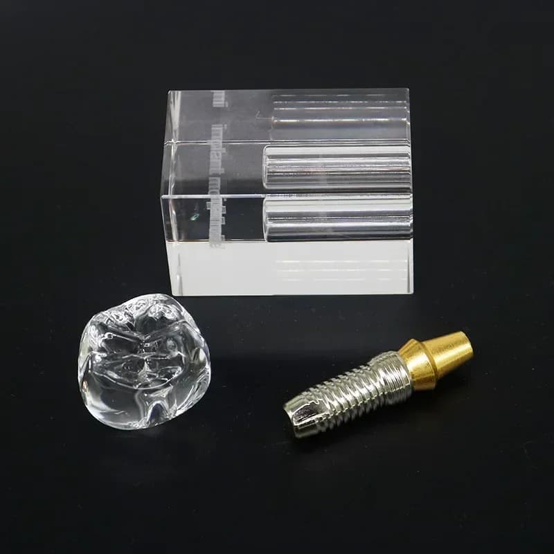 Teeth model for dental implants, teeth model for transparent diseases for learning dental students, teaching, research communication