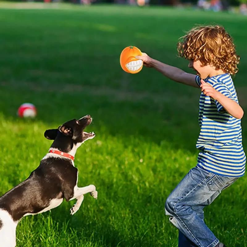 Giocattolo da masticare per cuccioli Massaggiagengive per cuccioli di piccola taglia per masticare giocattoli per cani striduli in gomma Giocattoli per gatti da interno Giocattoli riutilizzabili per la dentizione di cani di piccola taglia