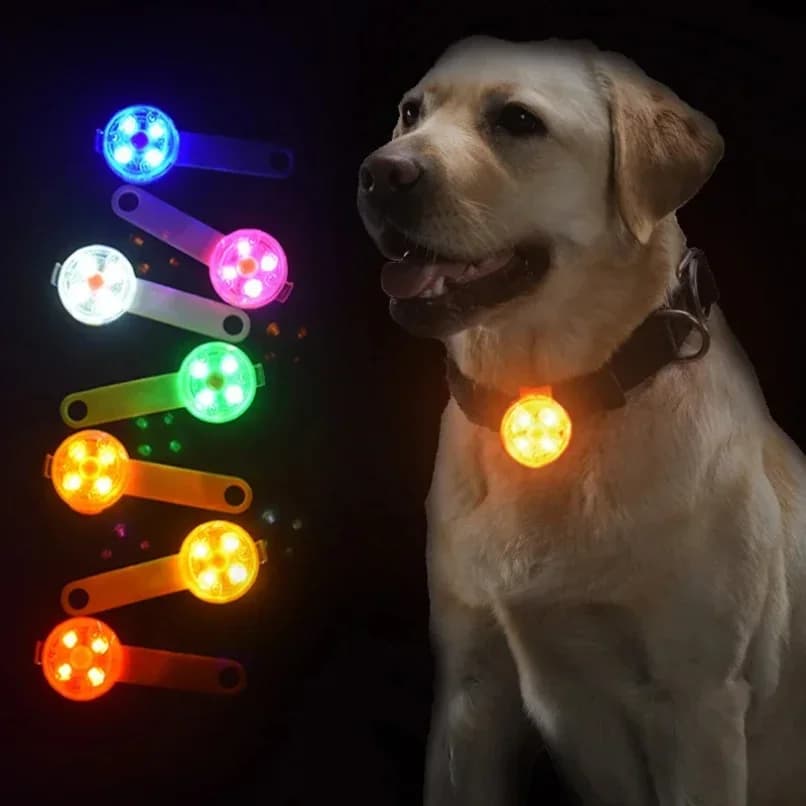 Collare per Cani e Gatti con Ciondolo Luminoso di Sicurezza Notturna, Impermeabile IPX7, con Luce Lampeggiante per Cani