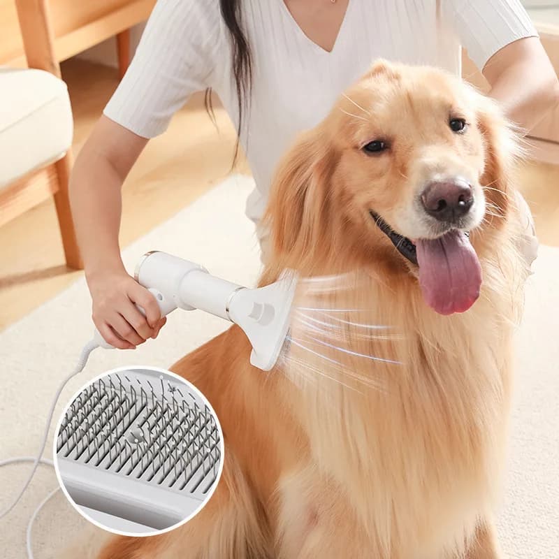 Asciugacapelli per Animali Domestici 2 in 1, Spazzola per Toelettatura con Temperatura Regolabile, Asciugacapelli e Spazzola Rimuovi Peli per Cani e Gatti