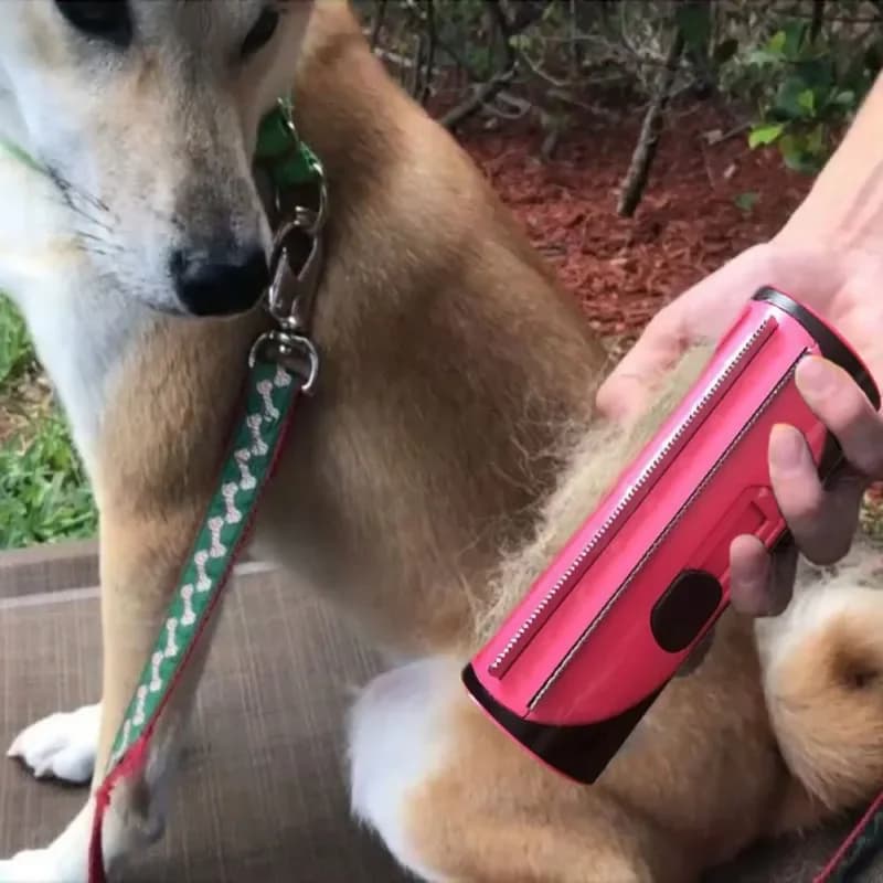 Pettine per peli di cani da compagnia Rullo per lanugine Spazzola per pulizia per cuccioli Capelli per gatti Divano per tappeti Spazzole per pulizia pettine per animali domestici Gatto deshedding Gatos
