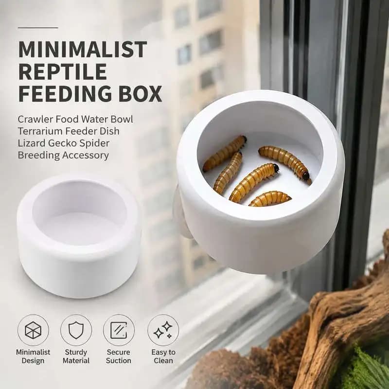 Simple Reptile Feeder Bowl Crawler Food Water Container Small Terrarium Feeding Dish For Gecko Snake Tarantula Amphibian Pets