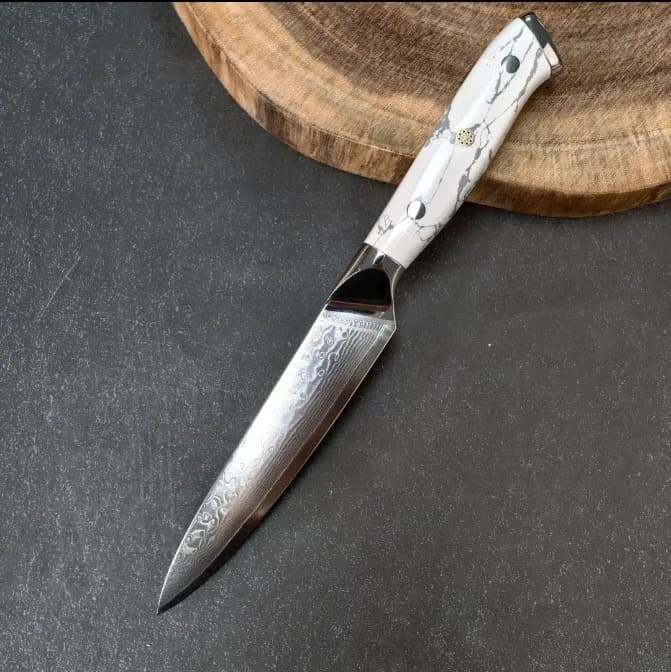 Coltello Multiuso da 4,7 Pollici in Acciaio Damasco a 67 Strati con Lama 10Cr15CoMov e Manico in Turchese per Sfilettare, Barbecue, Affettare e Tagliare
