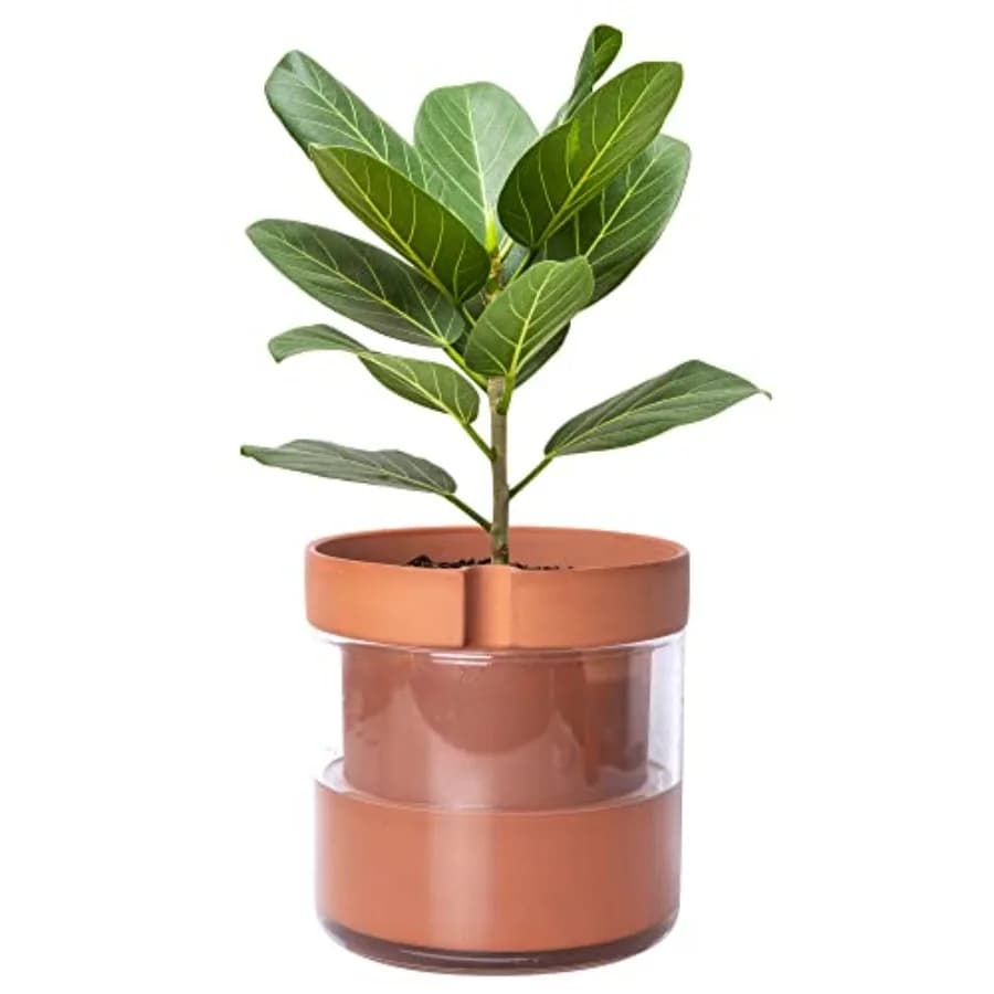 Vaso Autoirrigante in Terracotta da 8 Pollici con Serbatoio in Vetro per Piante da Interno, Erbe e Fiori, Set da 1 52-A-H-1