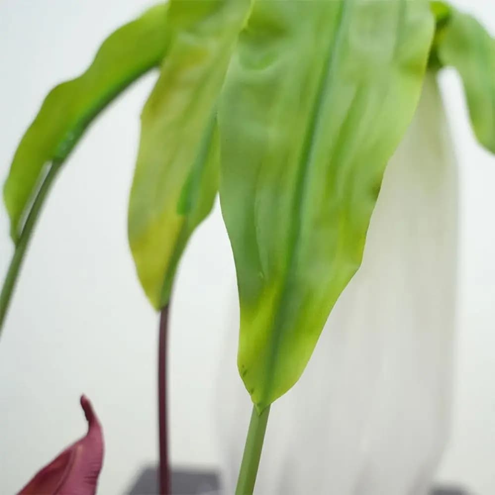Multicolor Artificial Pitcher Plants Greenery Accessories Green Leaves Hanging Green Plants Photo Props Simulation Flytraps