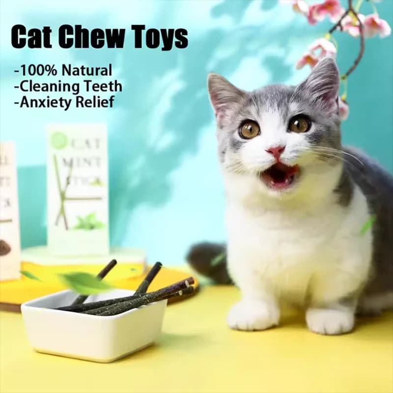 Pet Cat Peppermint Teeth Cleaning Bite Stick Teasing Cat Stick Cat Bite Resistant Soothing Snack