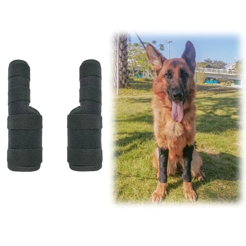 Ginocchiera per cani per supporto articolare – Protezione per le gambe calda e regolabile, Sollievo dalla artrite per animali domestici, Ginocchiera traspirante per cani con cinturino