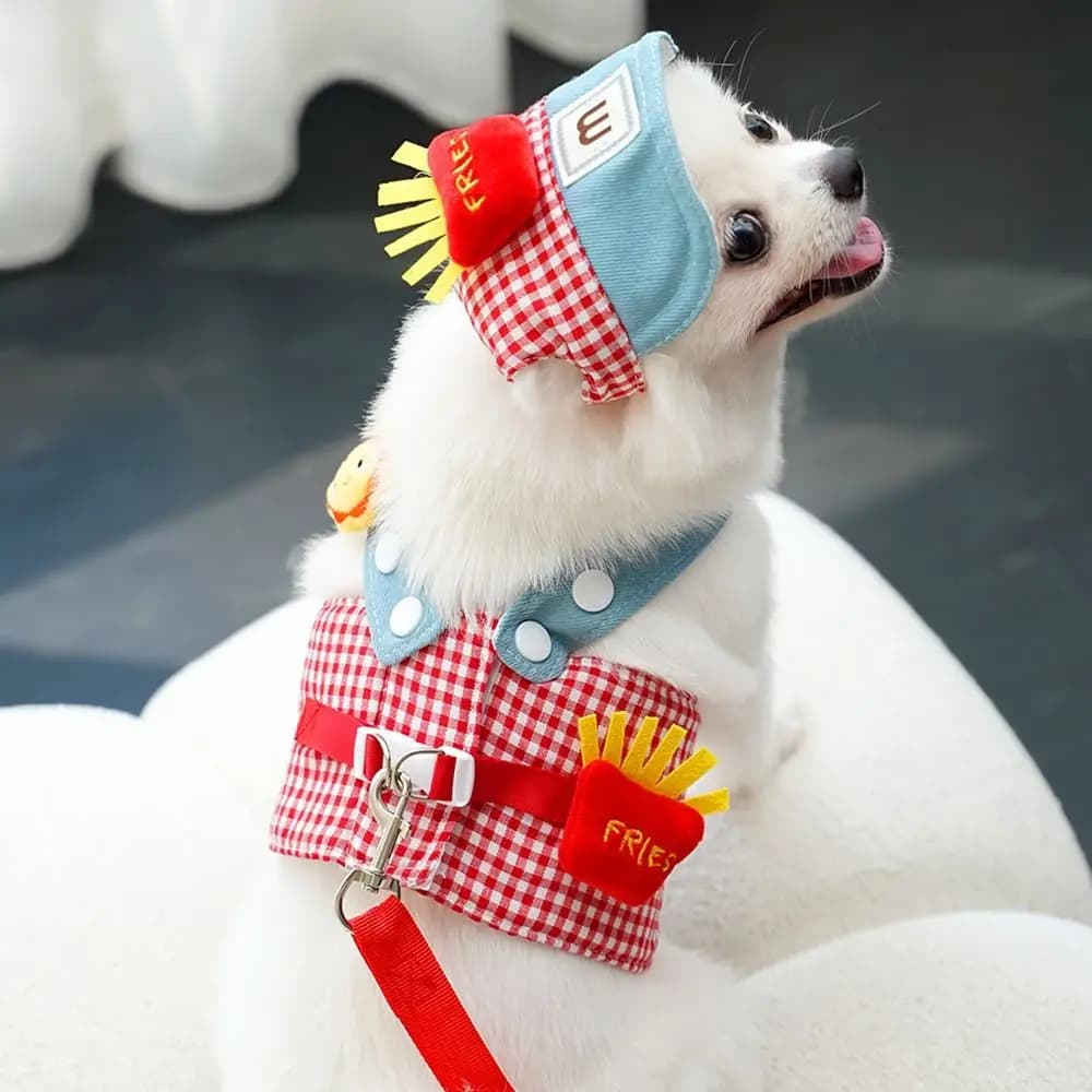 Set 3 Pezzi Guinzaglio per Animali Domestici in Tessuto Traspirante, Design Anatra e Rana, Carino Cappello, Guinzaglio per Cani, Vestiti per Cuccioli, Pettorina per Gatti da Passeggio