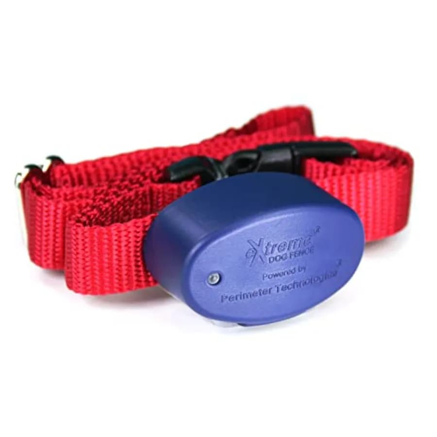 Collare Elettrico Addestramento Cani con Contatti Comfort Grandi e Medi per Cani e Cuccioli di Tutte le Lunghezze di Pelo, Resistente
