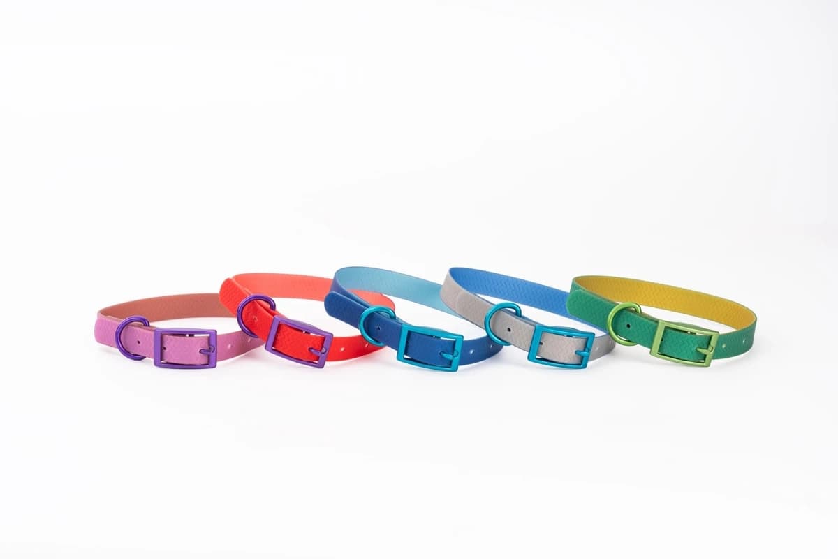 Collare per Cani Regolabile, Facile da Pulire, Impermeabile in PVC, Resistente ai Morsi, Multicolore con Fibbia a Perno per Cani Piccoli, Medi e Grandi