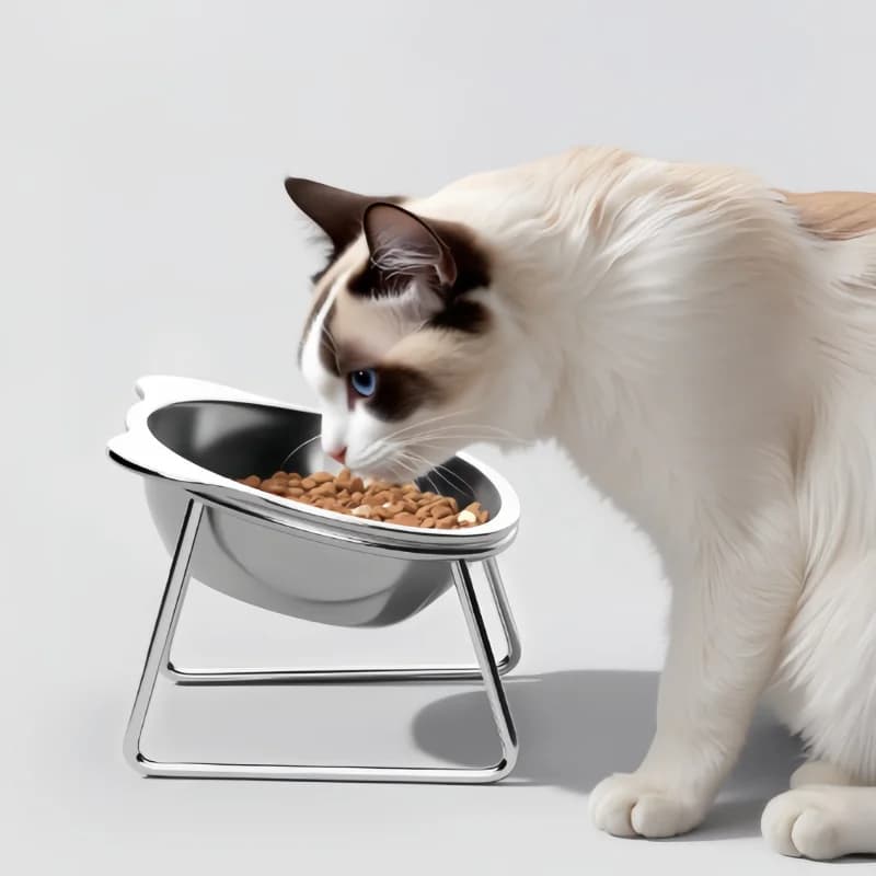 Ciotola per animali domestici in acciaio inossidabile Cucciolo d'acqua Alimentatore per cibo per cani Piatto per gattini Porta ciotola rialzato Contenitore per alimenti Accessorio per animali domestici Fornitura per gatti