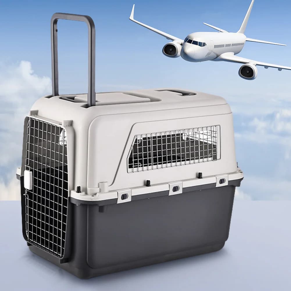 Trasportino per Gatti Lunghezza 84cm/Larghezza 55cm/Altezza 64cm con Maniglia e Porta in Metallo Approvato dalle Compagnie Aeree per Cuccioli e Gattini