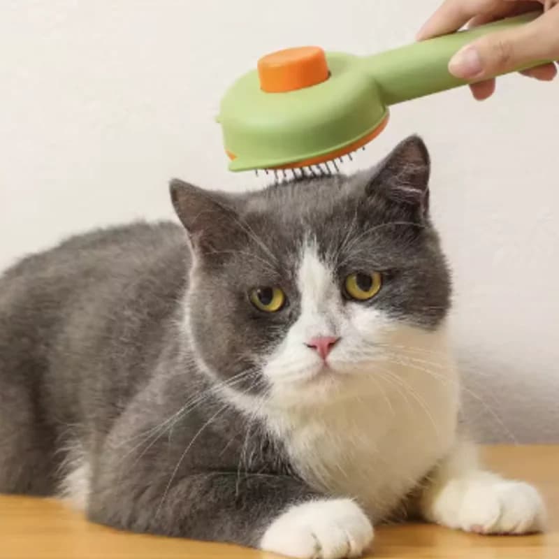 Magic Massage Comb Pet Grooming Tool Needle Brush for Cats And Dogs - Essential Pet Supplies for Cleaning And Care