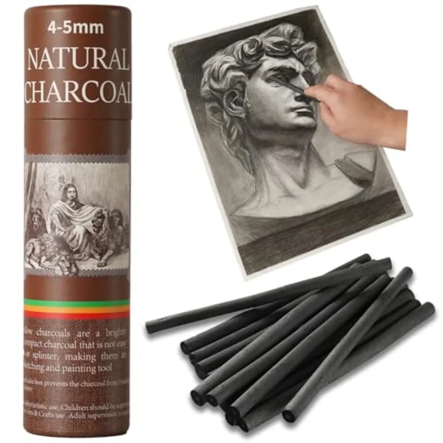 25 PCS Willow Charcoal Sticks, Ideal for Artists, Beginners, Students, Perfect for Sketching, Drawing, Shading, and Fine Art, 5