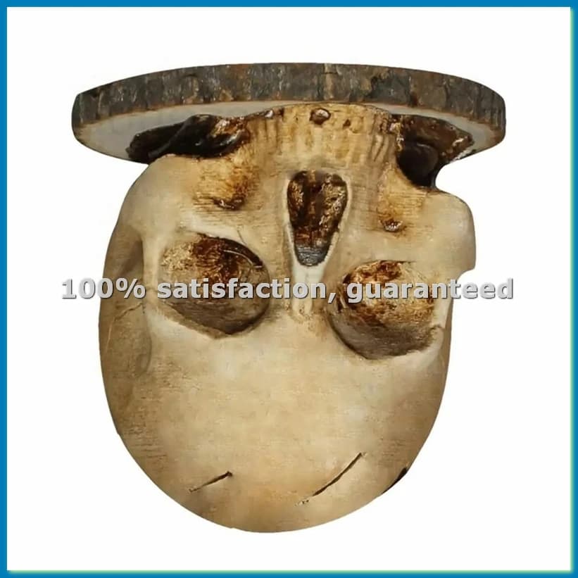 Skull Shape Kitchen Knife Holder - Head Shape Skull Support - FABY