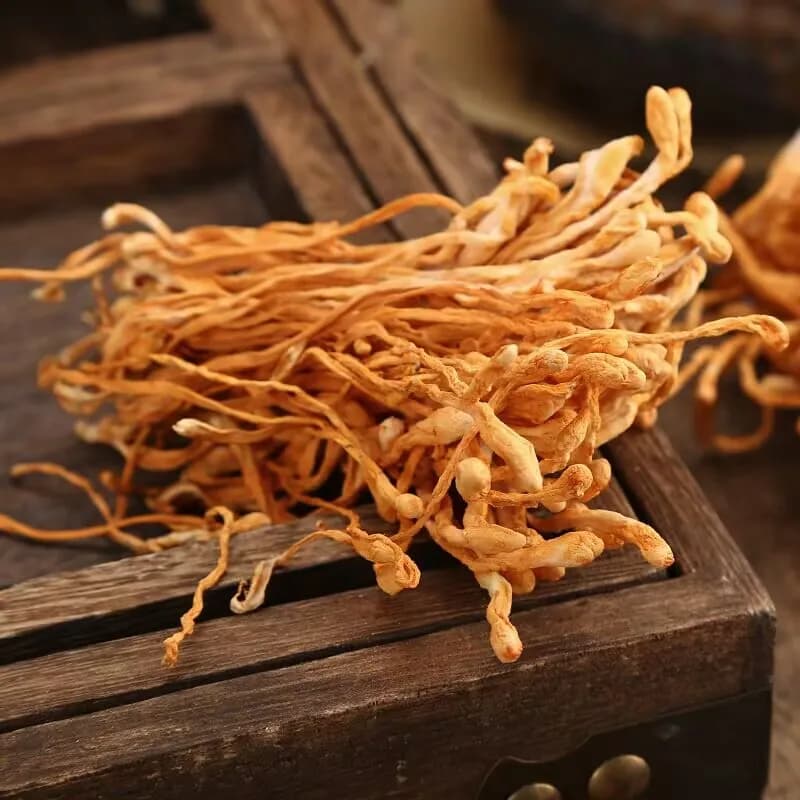 Fiori di Cordyceps secchi - Erba secca naturale per artigianato, decorazioni, usi aromatici | Qualità premium, vibrante e profumata