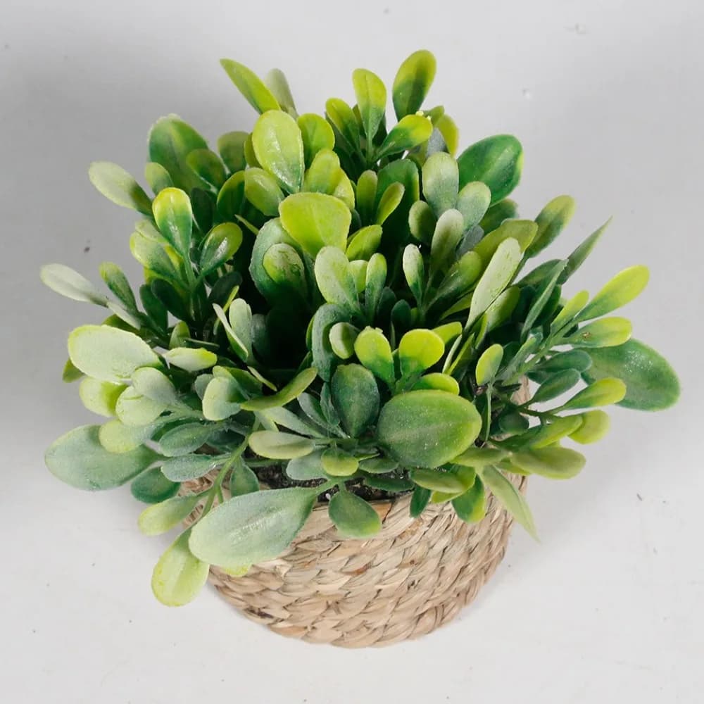 Green Artificial Potted Plant 11cm Woven Artificial Plants Eucalyptus Grass Plastic Leaf Artificial Decorations Home Decor