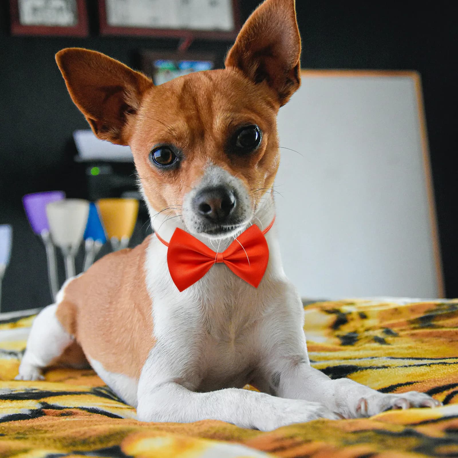 10 Pezzi Collare per Animali Domestici Regolabile in Tessuto, Papillon per Cani e Gatti, Accessori per Cuccioli, Collare Multicolore in Tessuto per Feste e Foto