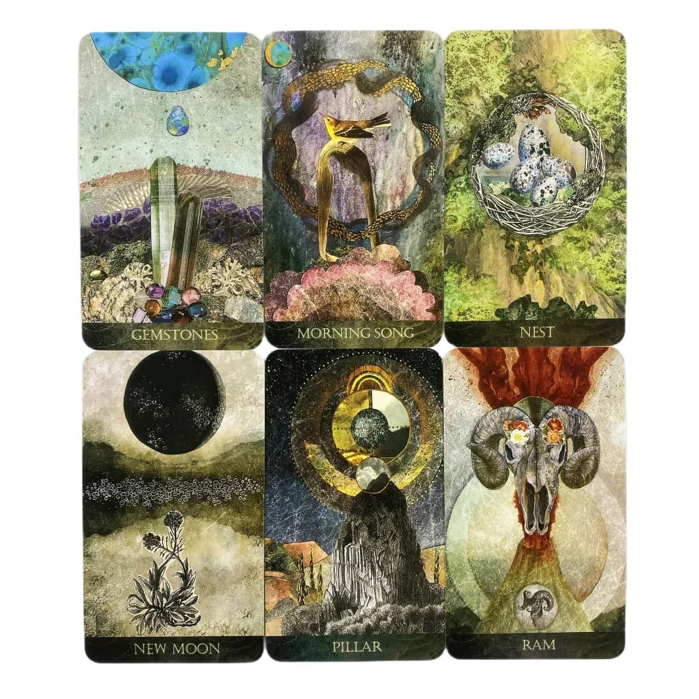 The Faceted Garden Oracle Cards: un mazzo di carte da 50 pezzi in edizione Visions Divination, in inglese, per giochi da tavolo