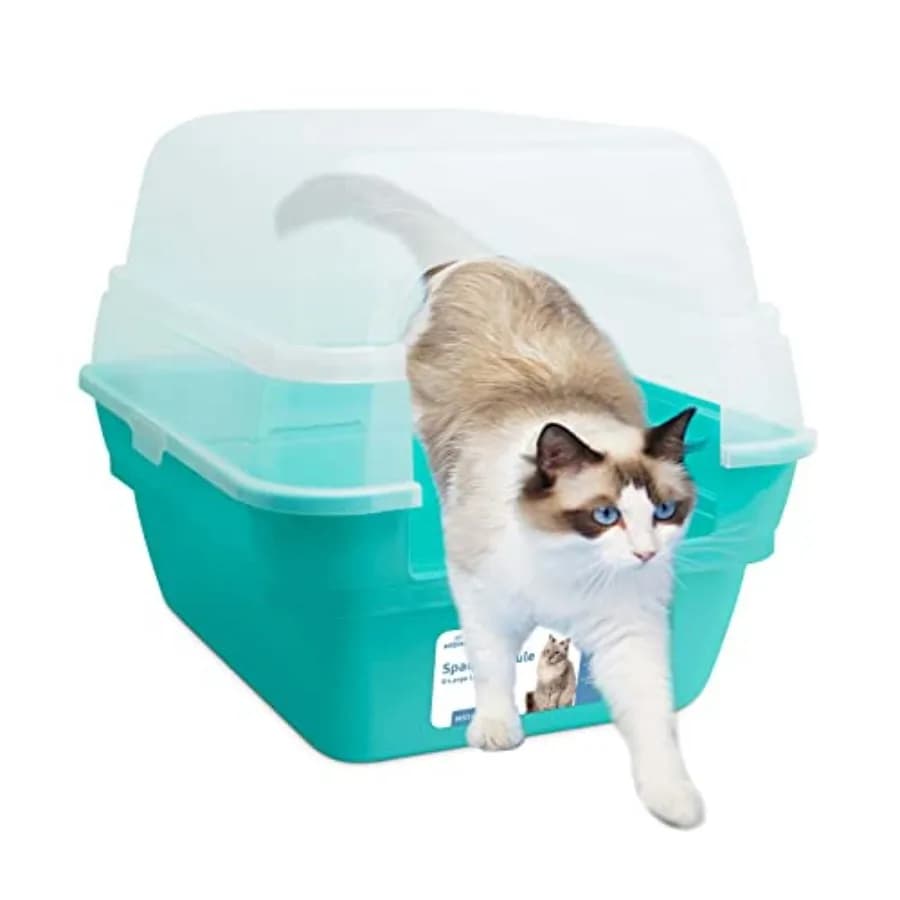 Lettiera per Gatti, Grande Lettiera Pieghevole con Coperchio Trasparente, Colore Teal